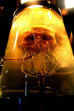 Le Coma Des Mortels (2004) 