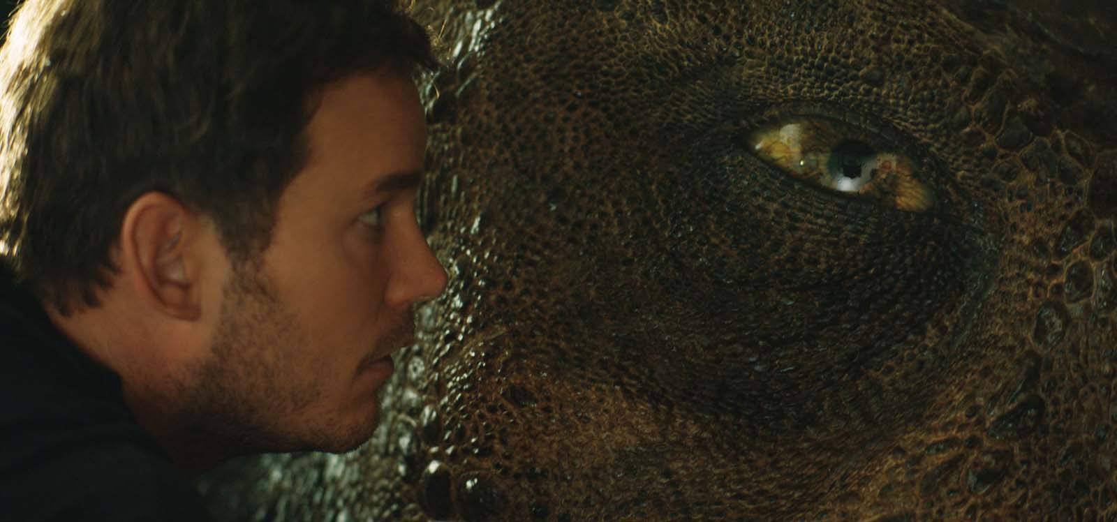 Jurassic World 2 - Fallen Kingdom (2018)