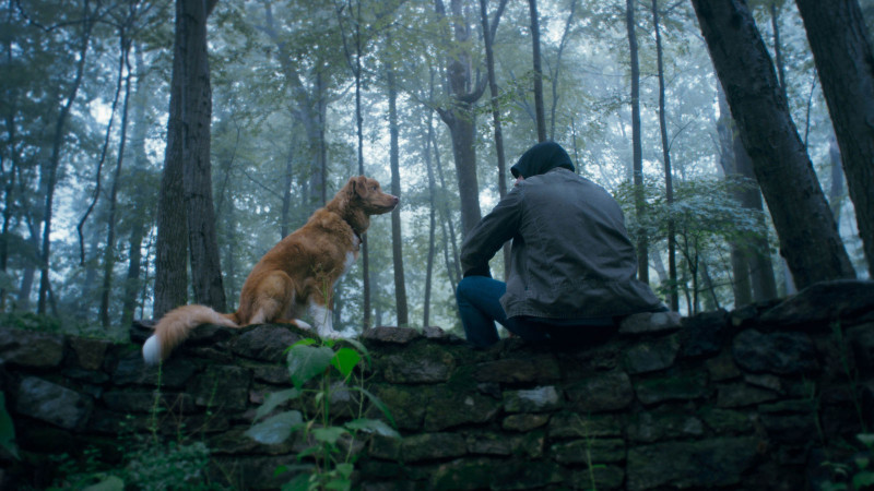 Good Boy (2025)