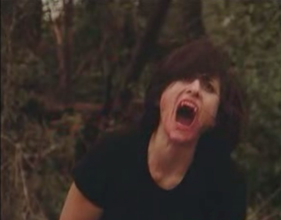 Drawing Blood (1999)