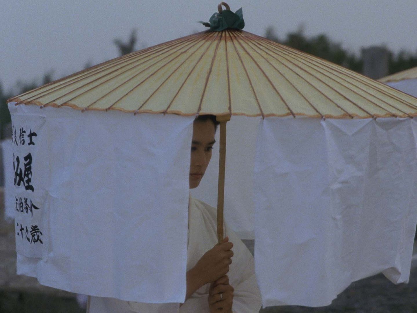 La Vengeance de la Sirène (1984) 
