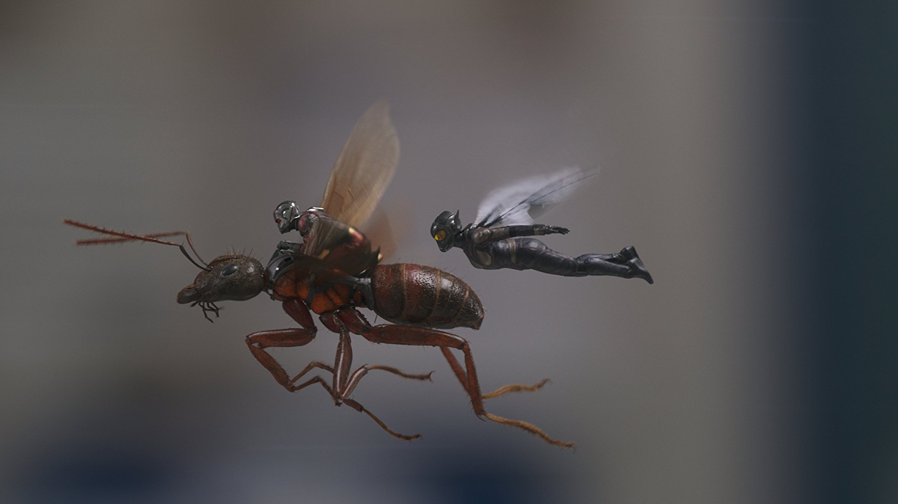 Ant-Man Et La Guêpe (2018)