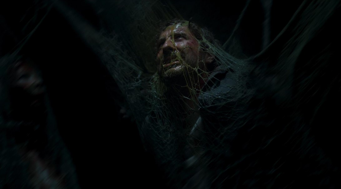 Sting (2024) 