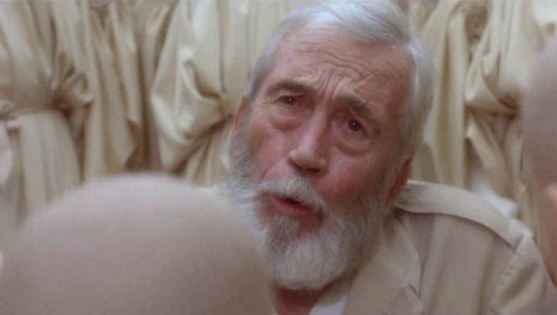 The Visitor (1979) 