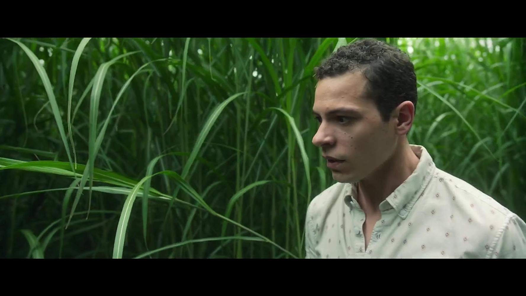 Dans Les Hautes Herbes (2019)