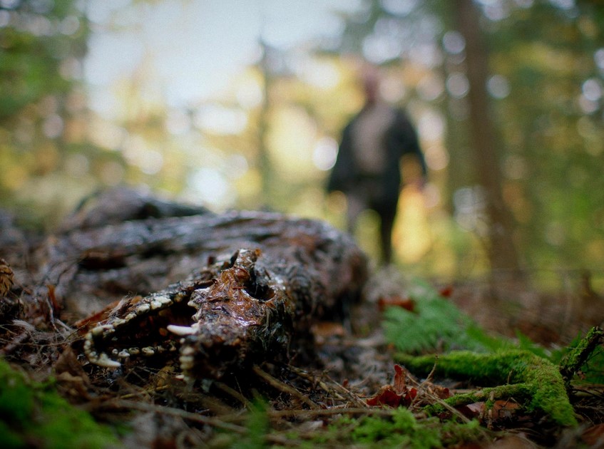 In A Violent Nature (2024)