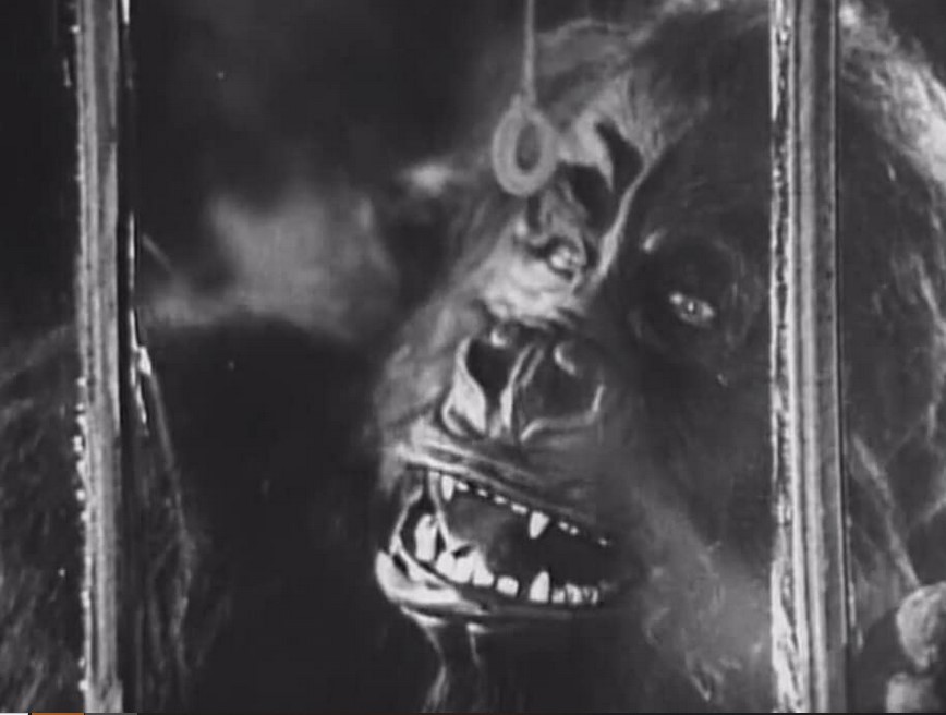 Le Singe Tueur (1940) 