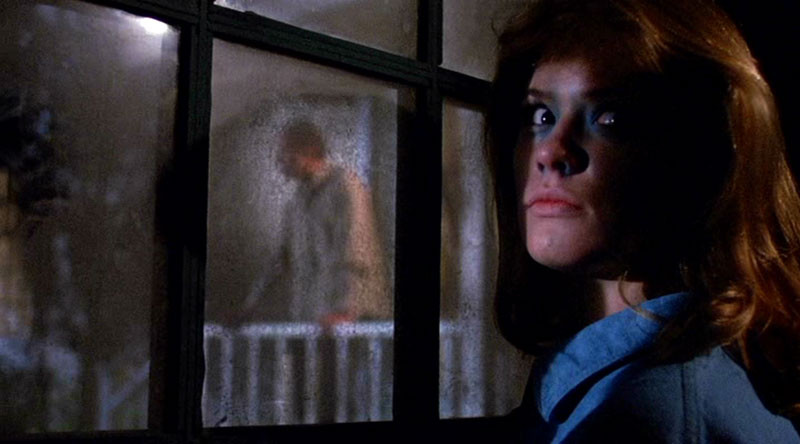 L'Amie Mortelle (1986) 