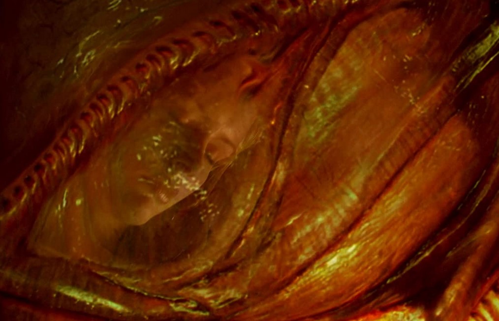 La Mutante 4 (2007) 