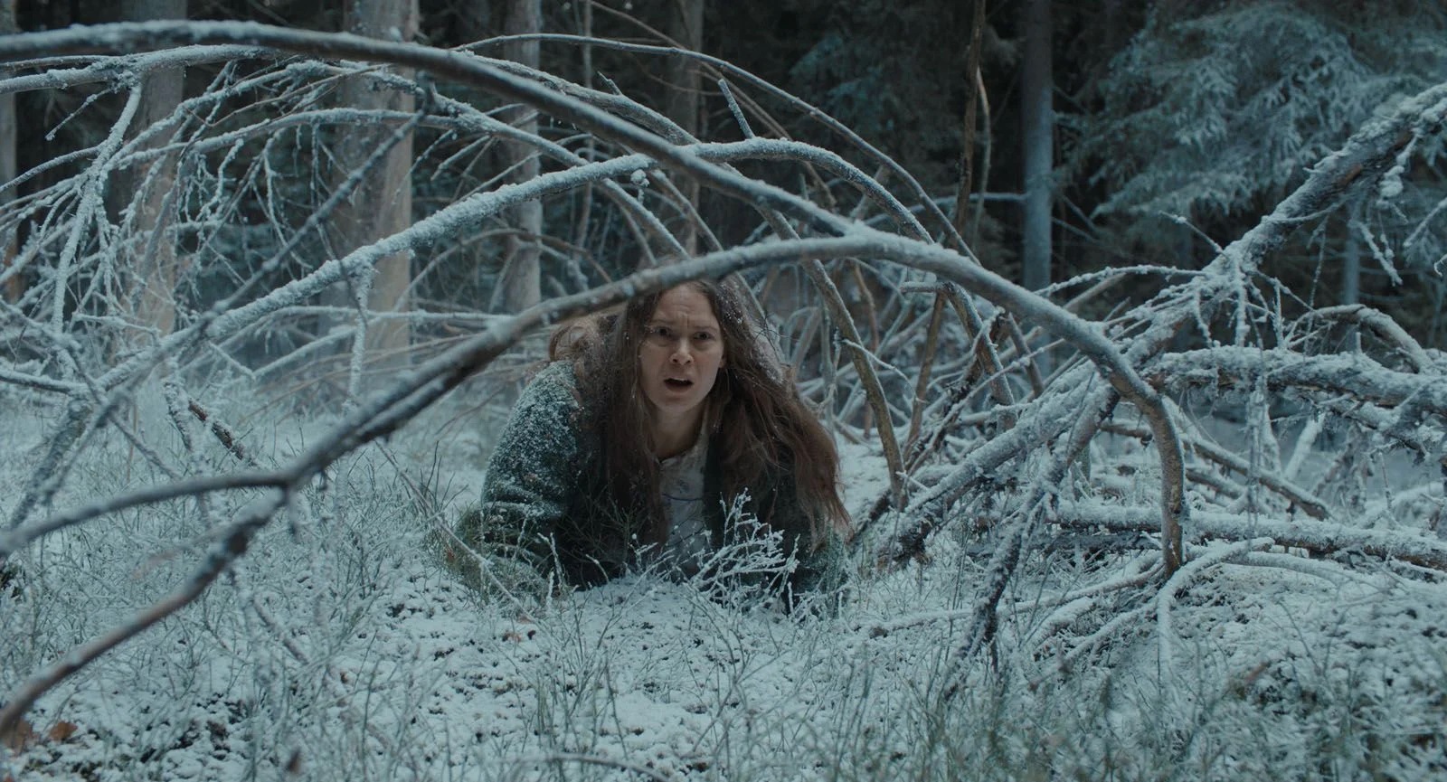 Nightborn (2026) 