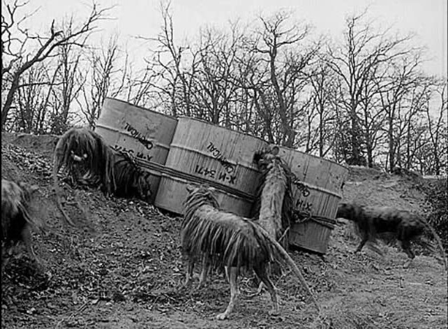 Les Musaraignes Tueuses (1959)