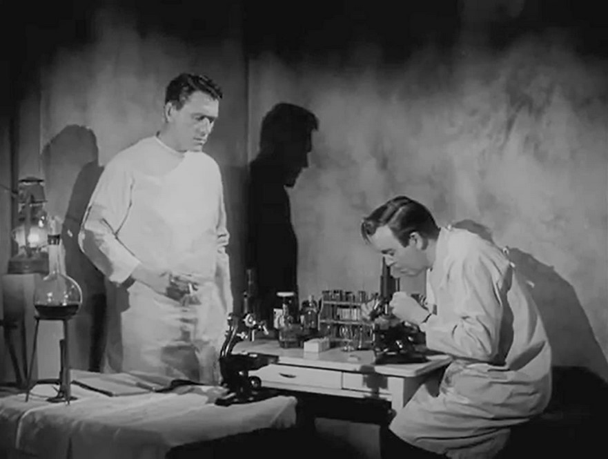 Les Musaraignes Tueuses (1959)