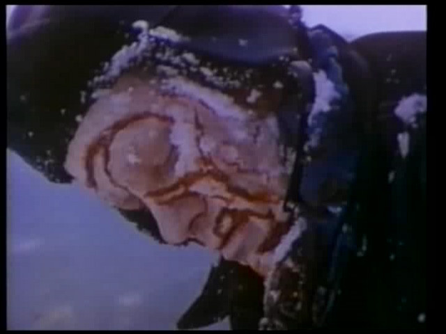 Bigfoot Terror de Bill Rebane - 1980