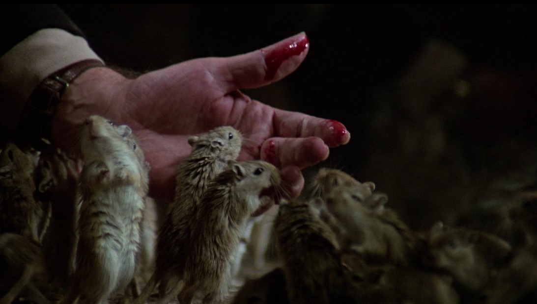 Filles Pour Le Bourreau (1977)