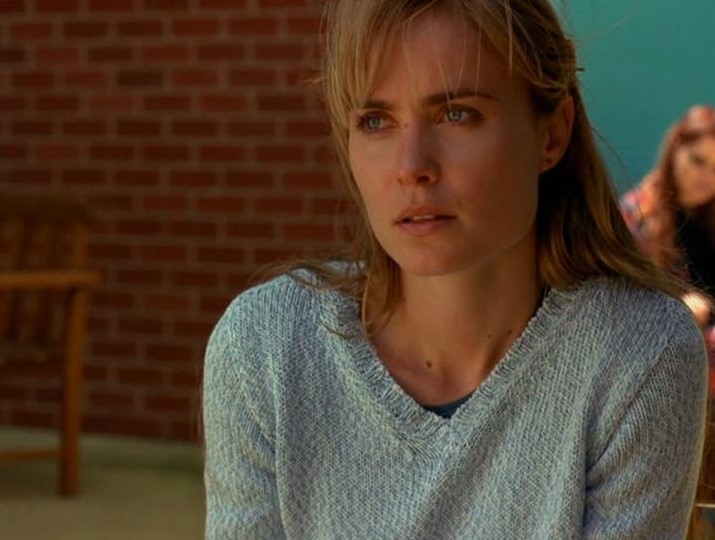 Visitors (2003)