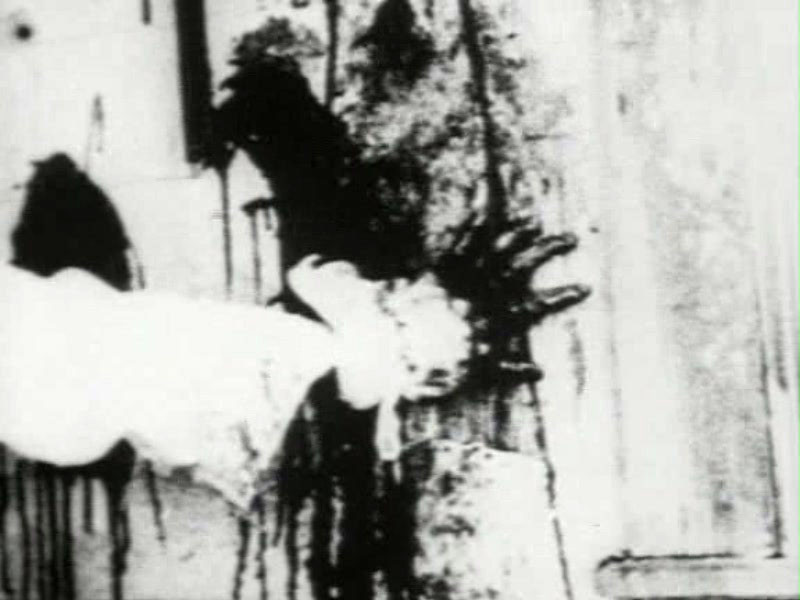 Begotten de E. Elias Merhige - 1991