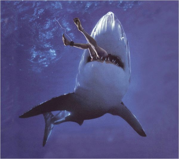 Killer Shark (2011) 