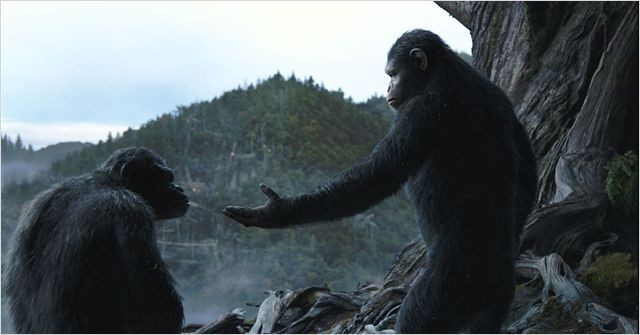 La Planète Des Singes - L'Affrontement (2014)