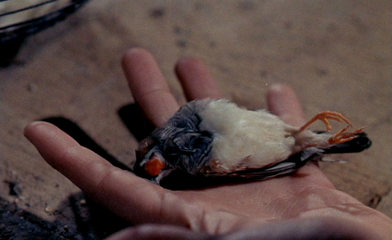Mais Ne Nous Délivrez Pas Du Mal (1971)