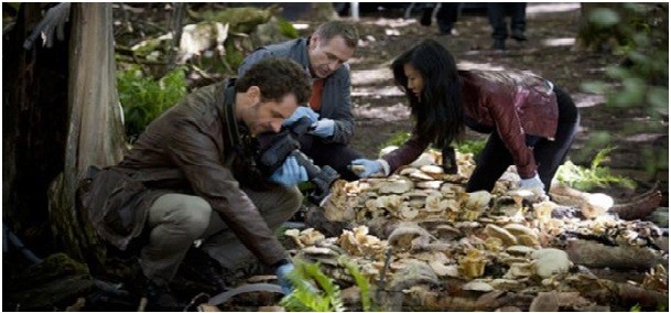 Hannibal - Saison 1 