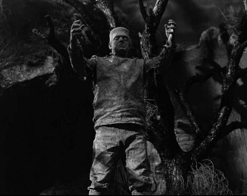 Le Spectre De Frankenstein (1942) 