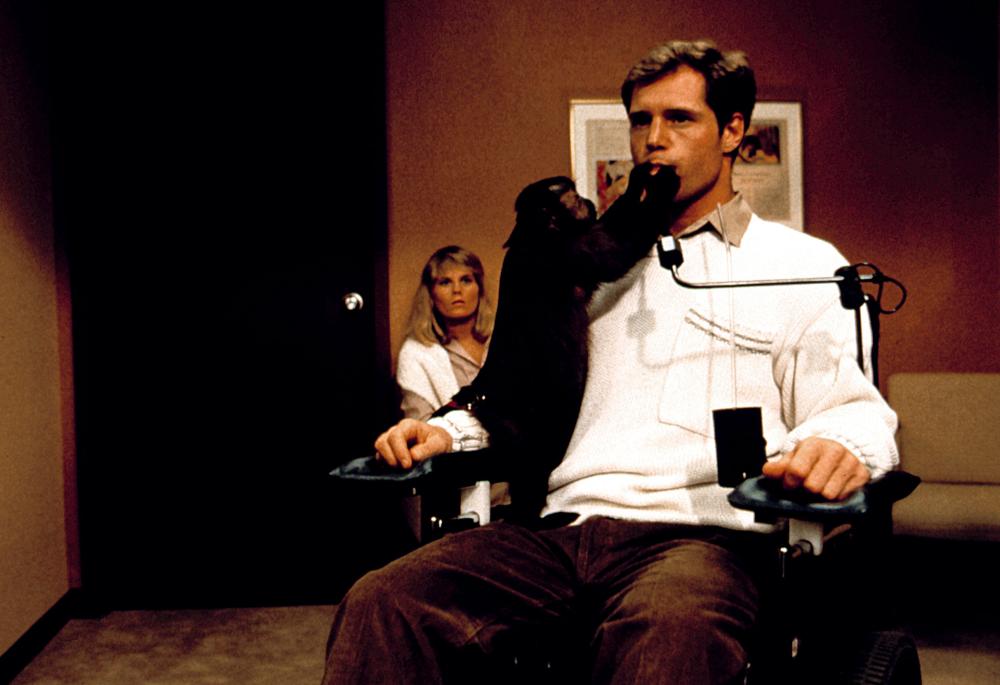 Incidents De Parcours (1988)