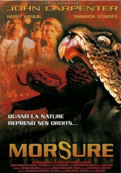 Morsure