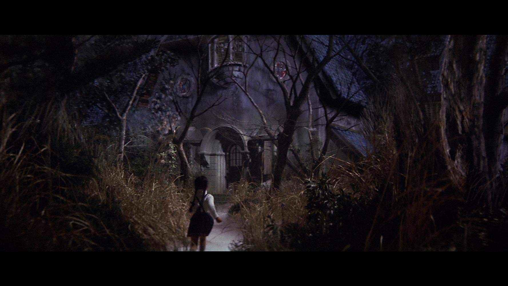 Le Lac de Dracula (1971)  