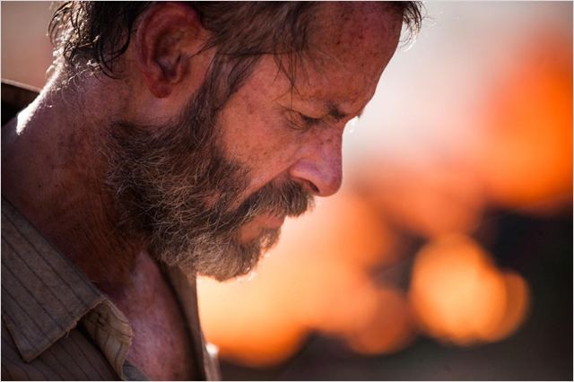 The Rover (2014)