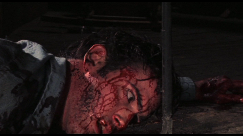 Evil Dead de Sam Raimi - 1981 / Horreur- Gore 