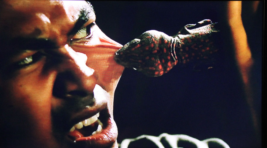 Lizard Woman (2004)