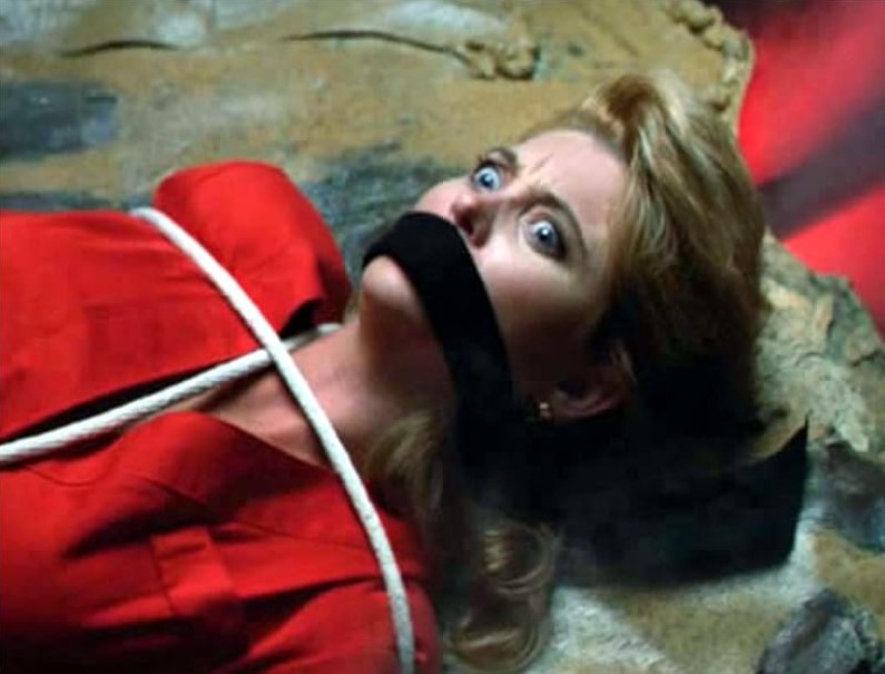 Les Tomates Tueuses Contre-Attaquent (1991)