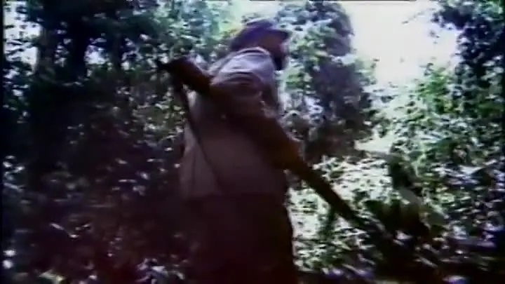  Les Yeux De La Jungle (1978) 