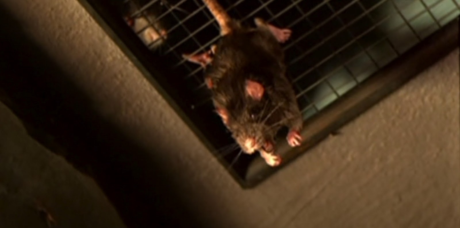 Rats 2 - L'Invasion Finale (2004) 