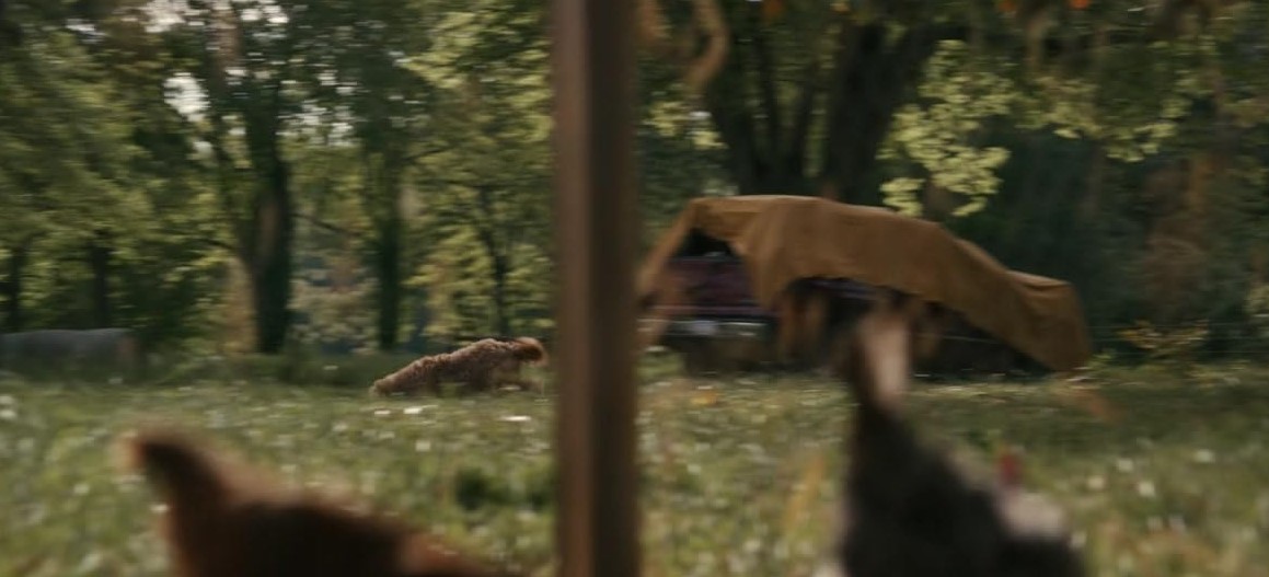 The Woman In The Yard (2025) 