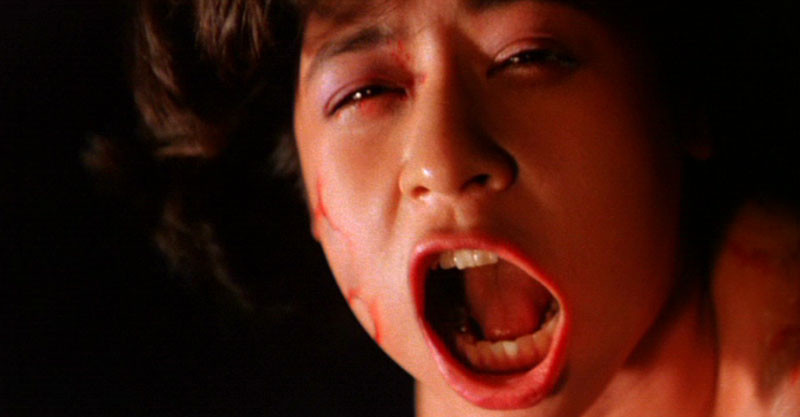 Entrails Of A Beautiful Woman de Kazuo 'Gaira' Komizu - 1986 / Gore - Horreur