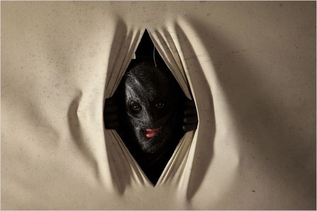 The Collection (2012) 