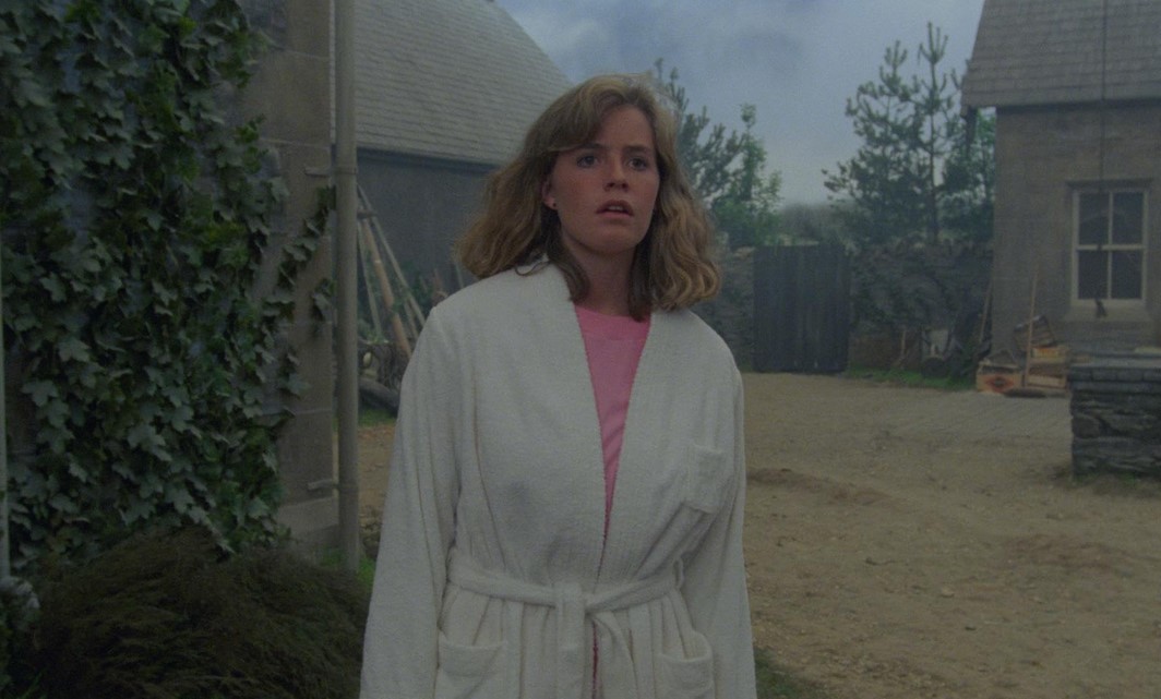 Link (1986)