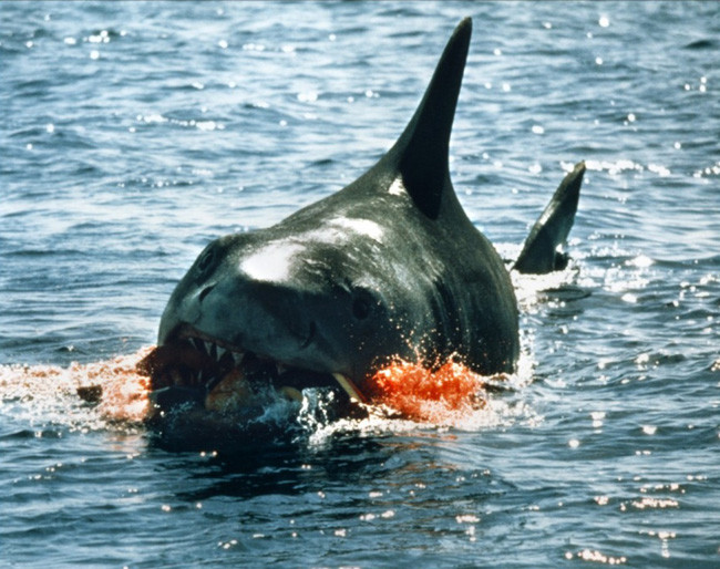 Les Dents De La Mer de Steven Spielberg - 1975 / Horreur - Animal Tueur