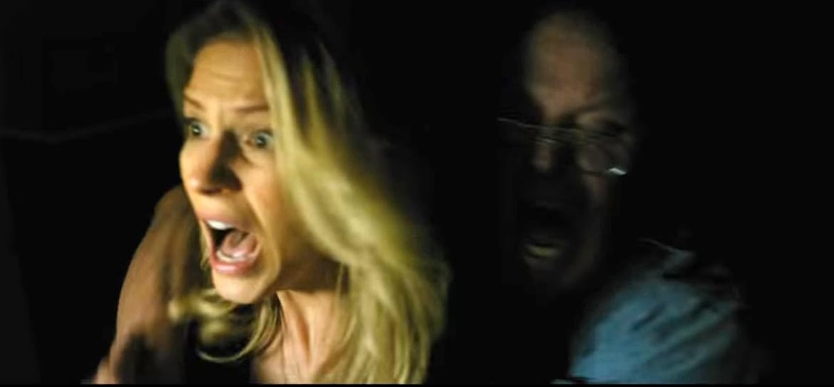 13 Cameras (2015)