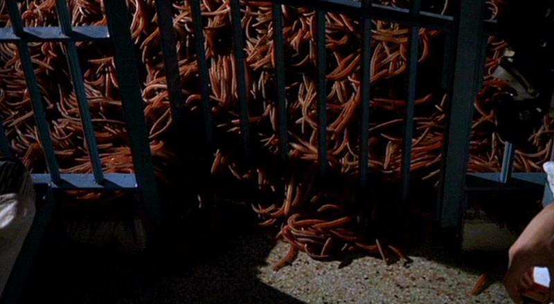 La Nuit Des Vers Géants (1976)  