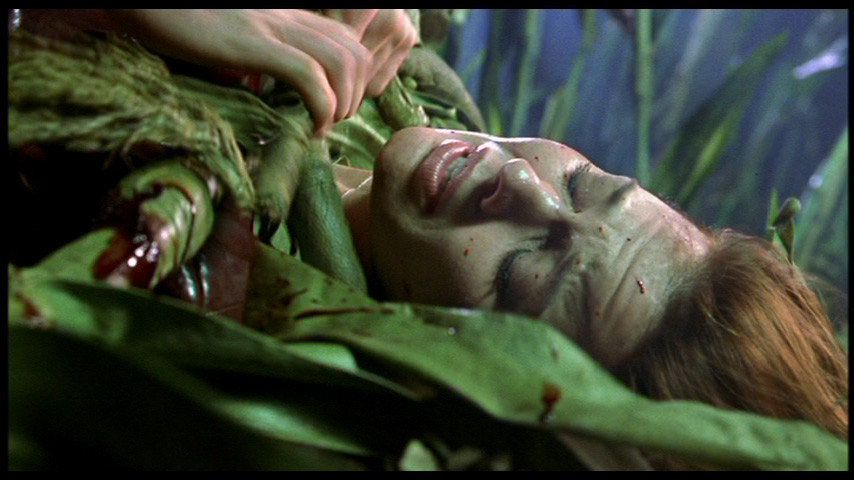 Les Démons Du Maïs 7 (2001) 