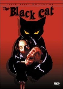 Le Chat Noir