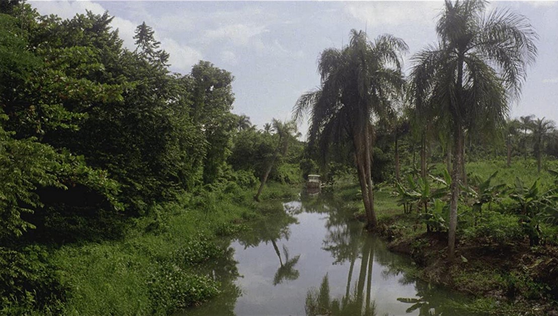 Killer Crocodile (1989) 
