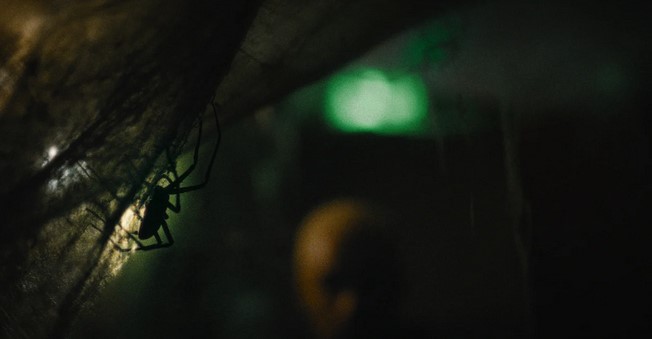 Vermines (2023)