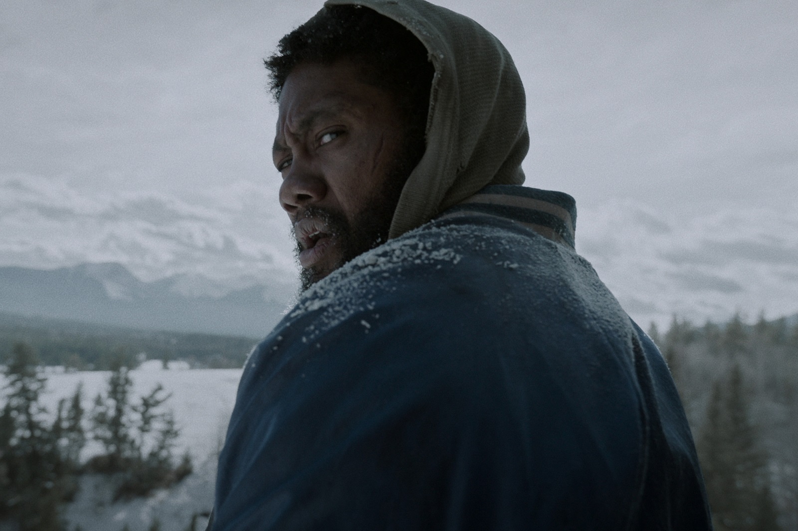 Black Summer - Saison 2