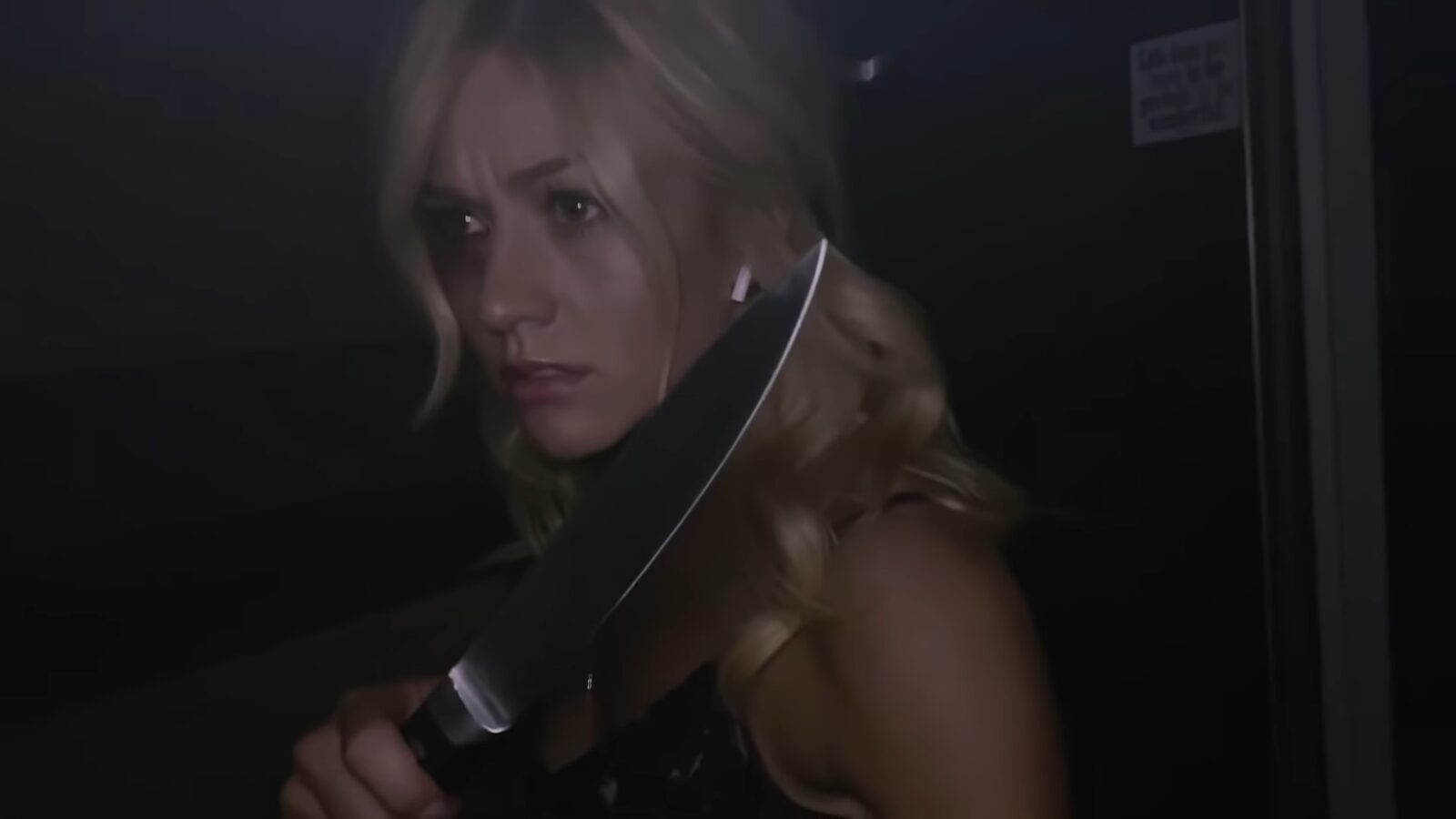 Untitled Horror Movie (2021)