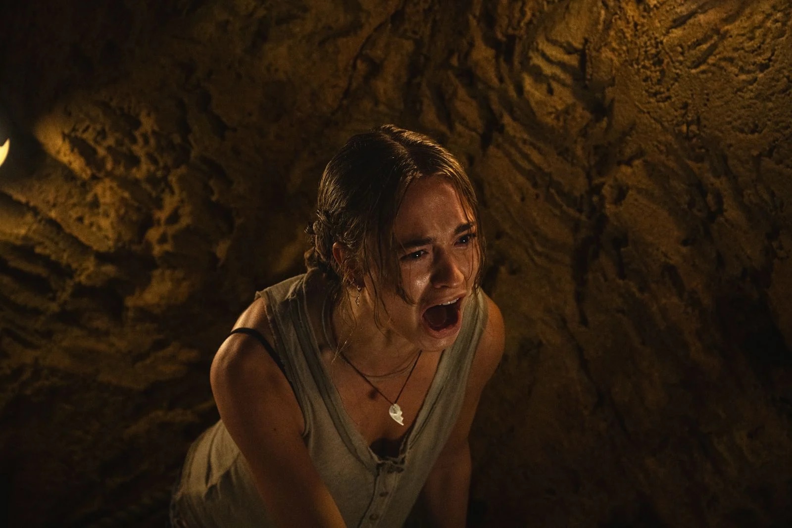 Primate (2025)