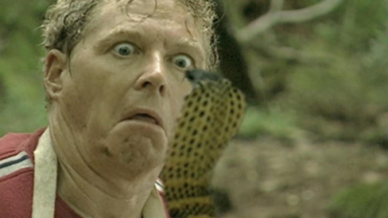 Reptiles (2002)