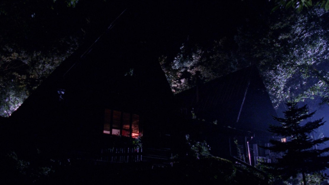 La Secte (1991)
